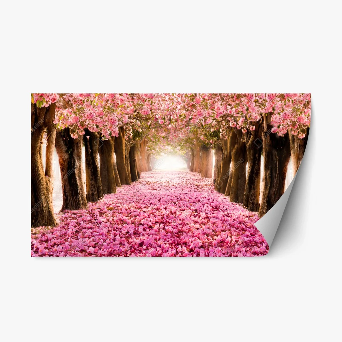 Sticker repositionnable allée de cerisiers en fleurs – Wallnifity® Sticker repositionnable allée de cerisiers en fleurs – Wallnifity®
