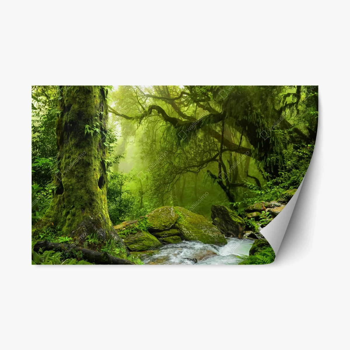Sticker repositionnable forêt verdoyante au bord du ruisseau – Wallnifity® Sticker repositionnable forêt verdoyante au bord du ruisseau – Wallnifity®