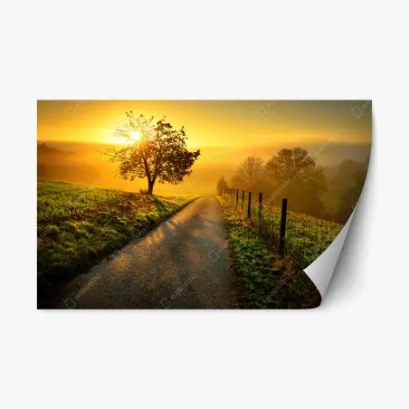 Sticker repositionnable lever de soleil sur chemin de campagne – Wallnifity®
