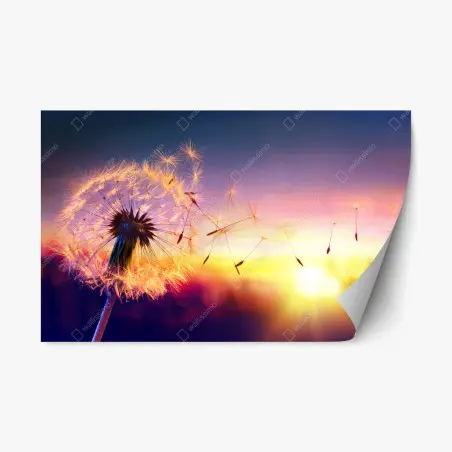 Sticker repositionnable pissenlit emporté par le vent au coucher de soleil – Wallnifity®
