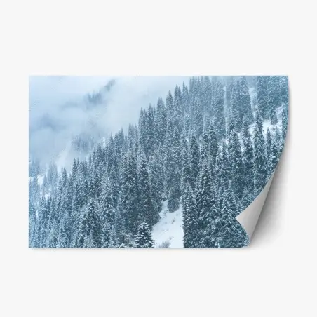 Sticker repositionnable forêt de sapins enneigée – Wallnifity®