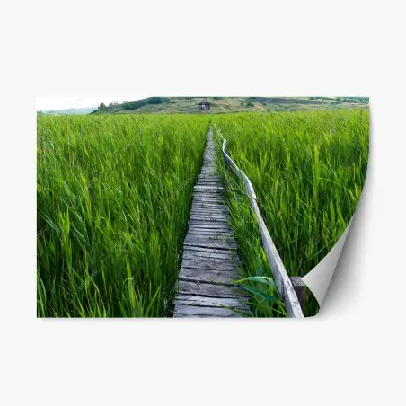 Sticker repositionnable chemin de bois au milieu des hautes herbes – Wallnifity®