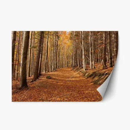 Sticker repositionnable chemin d'automne en forêt dorée – Wallnifity®
