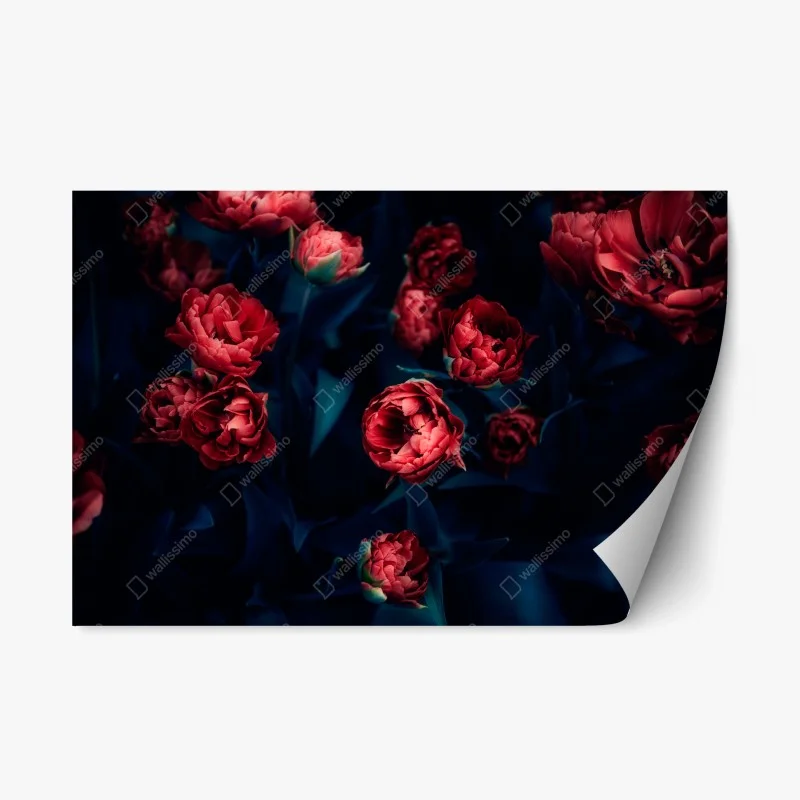 Fleurs et plantes – Wallnifity®