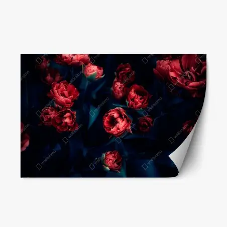 Sticker repositionnable bouquet de tulipes rouges sur fond sombre – Wallnifity®