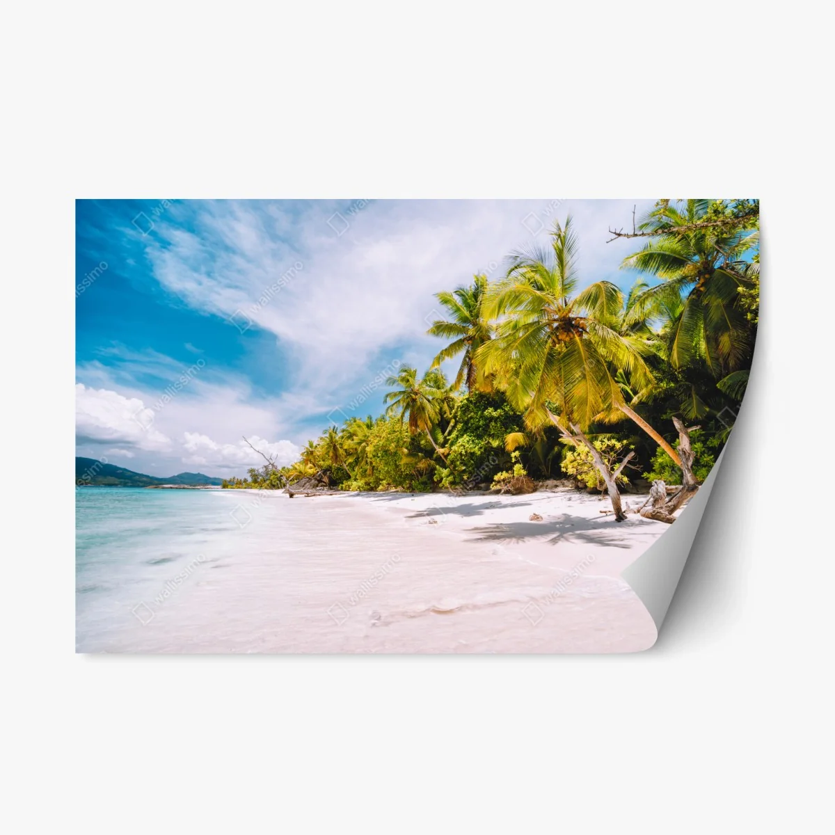 Sticker repositionnable plage tropicale ensoleillée bordée de palmiers – Wallnifity® Sticker repositionnable plage tropicale ensoleillée bordée de palmiers – Wallnifity®