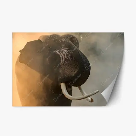 Sticker repositionnable éléphant de Surin aux défenses majestueuses – Wallnifity®
