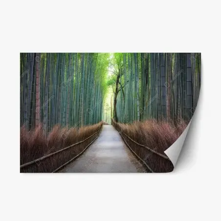 Sticker repositionnable allée de bambous sereine – Wallnifity®