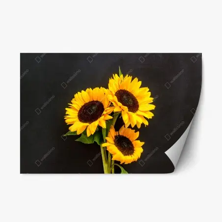 Sticker repositionnable bouquet lumineux de tournesols sur fond noir – Wallnifity®