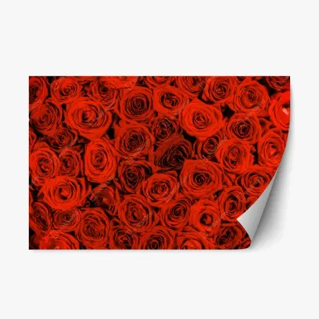 Sticker repositionnable motif de roses rouges pour décoration murale – Wallnifity®
