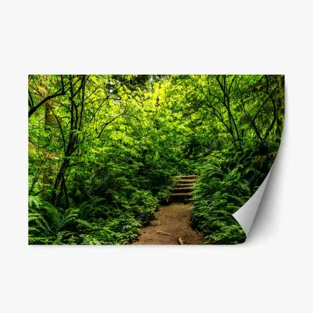 Sticker repositionnable promenade au cœur d'un sous-bois verdoyant – Wallnifity®