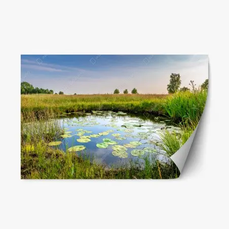 Sticker repositionnable étang de nénuphars et prairie sauvage – Wallnifity®