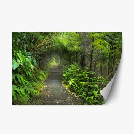 Sticker repositionnable forêt tropicale luxuriante sur le sentier Kilauea Iki – Wallnifity®