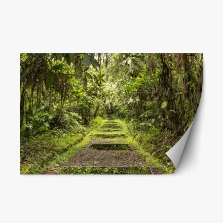 Sticker repositionnable sentier tropical verdoyant – Wallnifity®