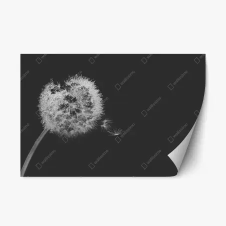 Sticker repositionnable souffle de pissenlit en noir et blanc – Wallnifity®
