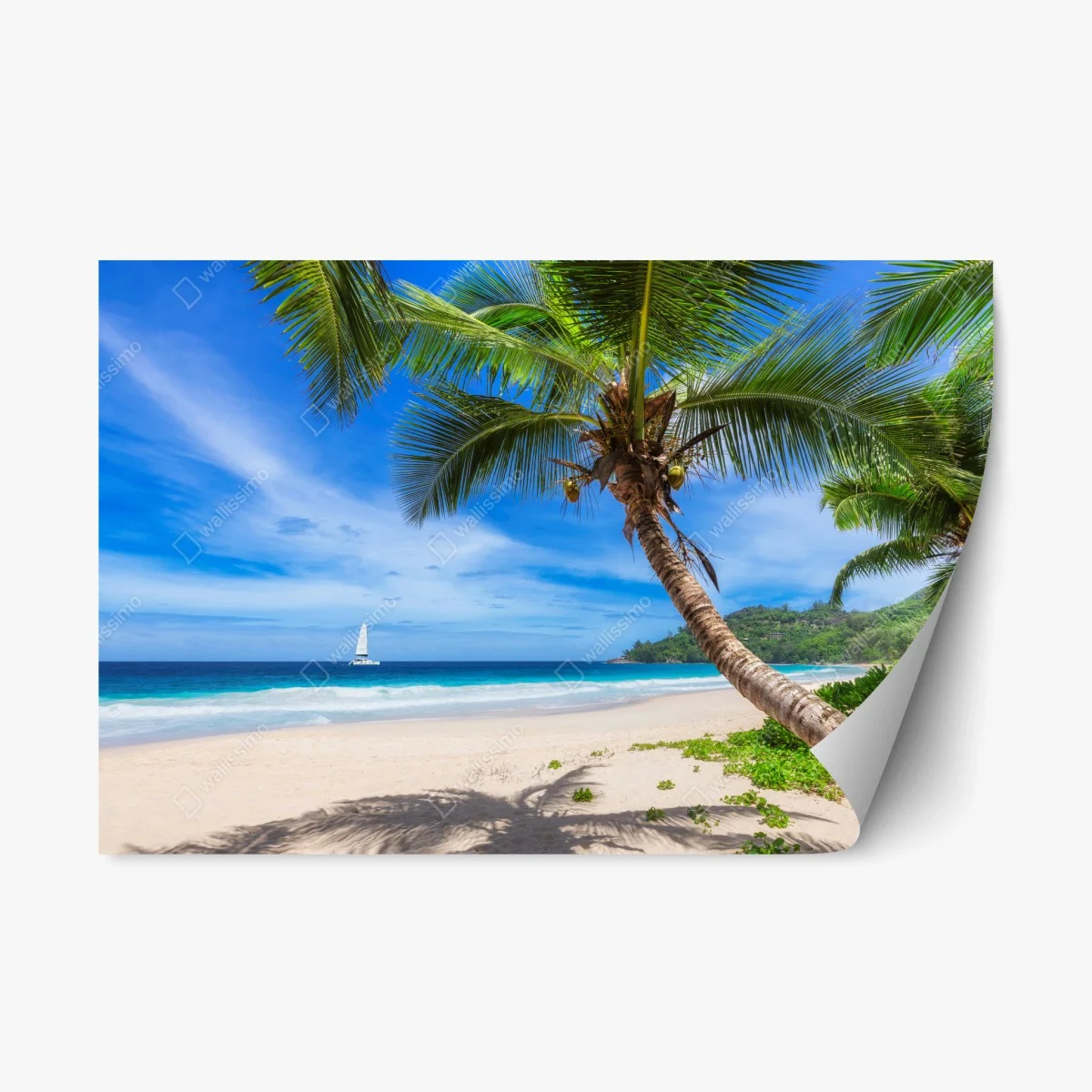 Sticker repositionnable plage tropicale au cocotier – Wallnifity® Sticker repositionnable plage tropicale au cocotier – Wallnifity®