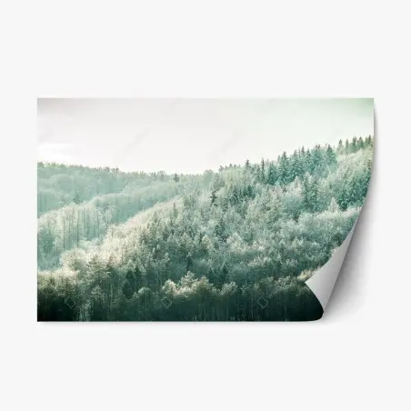 Sticker repositionnable forêt hivernale givrante à la lumière douce – Wallnifity®