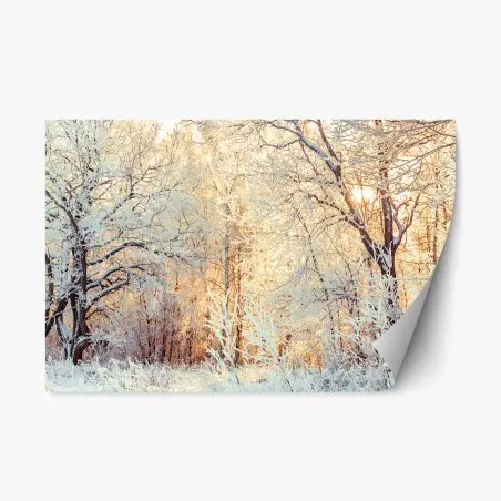 Sticker repositionnable forêt enneigée au soleil couchant – Wallnifity®