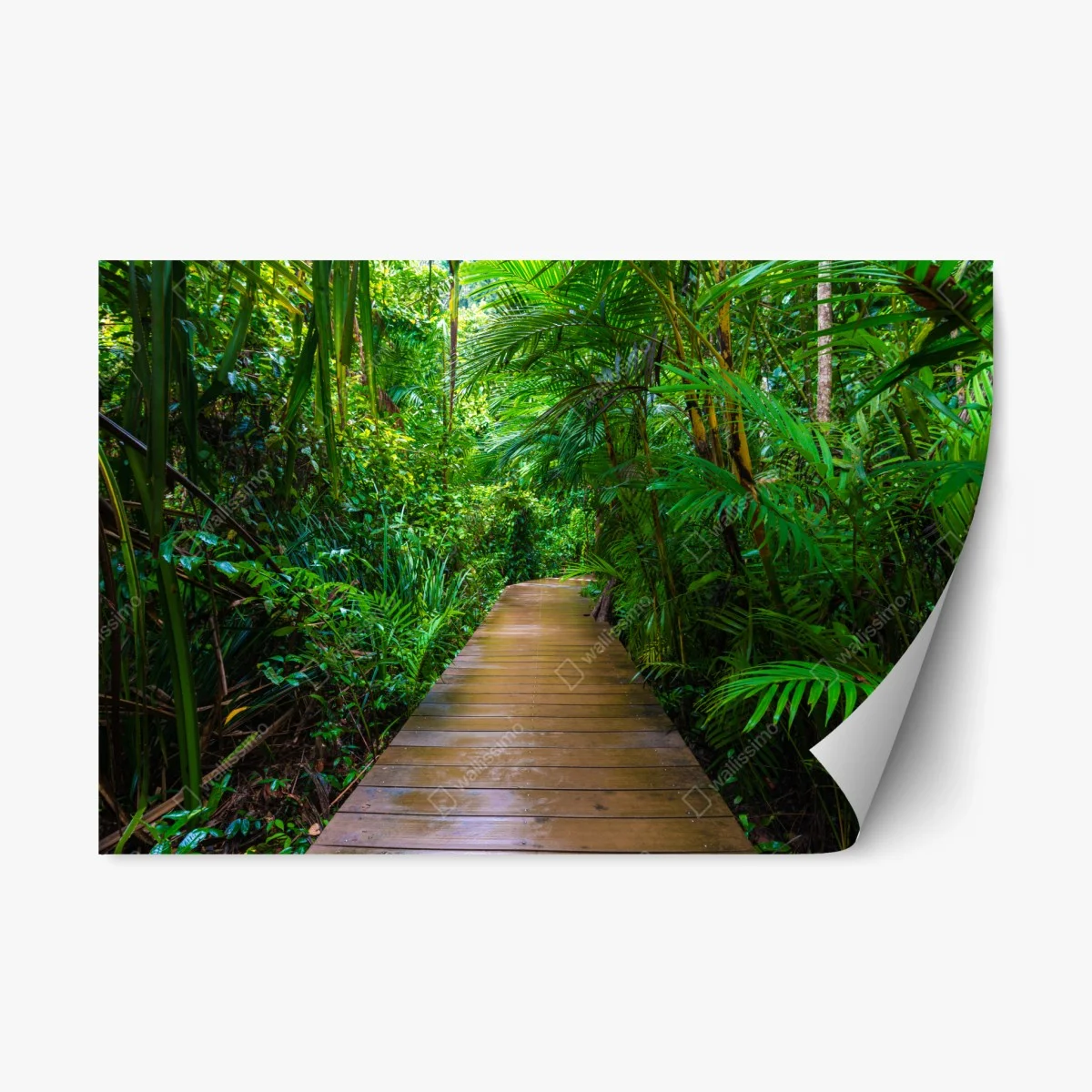 Sticker repositionnable passerelle en mangrove, évasion verdoyante – Wallnifity® Sticker repositionnable passerelle en mangrove, évasion verdoyante – Wallnifity®