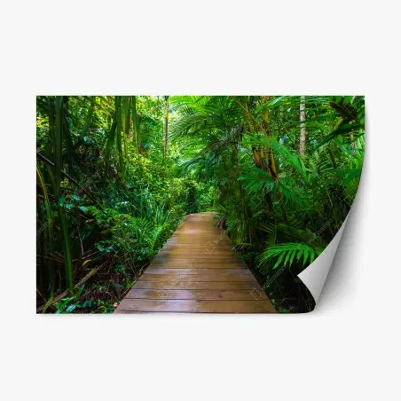 Sticker repositionnable passerelle en mangrove, évasion verdoyante – Wallnifity®