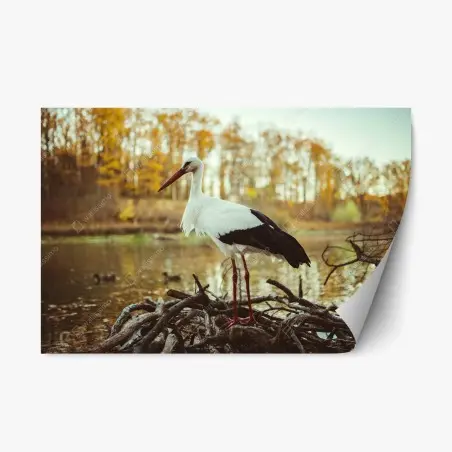 Sticker repositionnable cigogne solitaire au bord du lac en automne – Wallnifity®