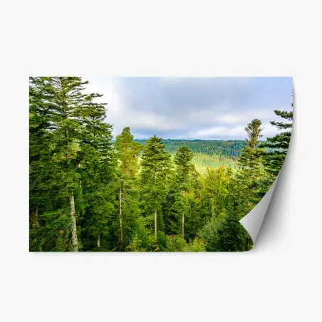 Sticker repositionnable paysage automnal de la Forêt-Noire – Wallnifity®