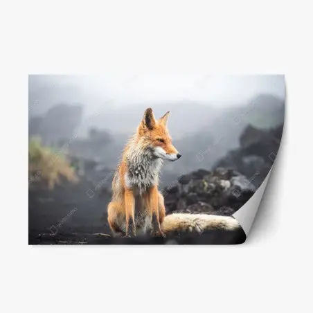Sticker repositionnable renard roux dans la brume – Wallnifity®