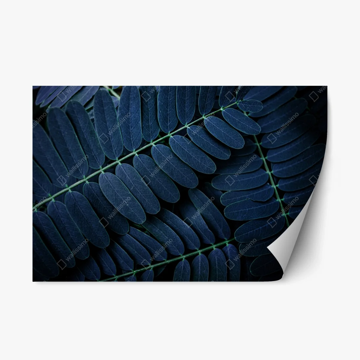 Sticker repositionnable feuillage bleu profond en motif artistique – Wallnifity® Sticker repositionnable feuillage bleu profond en motif artistique – Wallnifity®