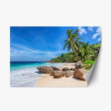 Sticker repositionnable plage paradisiaque aux palmiers et rochers granitiques – Wallnifity®