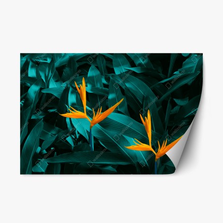 Sticker repositionnable oiseaux de paradis sur feuillage turquoise – Wallnifity®