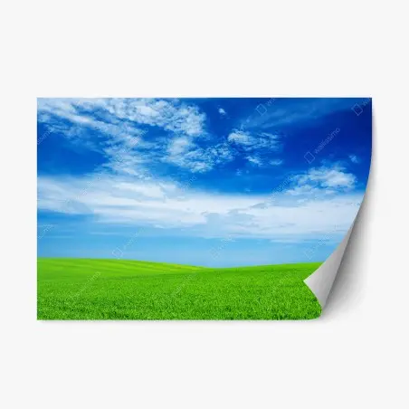 Sticker repositionnable horizon verdoyant sous ciel bleu – Wallnifity®