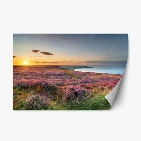 Sticker repositionnable coucher de soleil sur la bruyère des North York Moors, vue sur Robin Hood's Bay – Wallnifity®