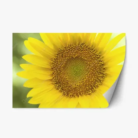 Sticker repositionnable cœur de tournesol lumineux – Wallnifity®