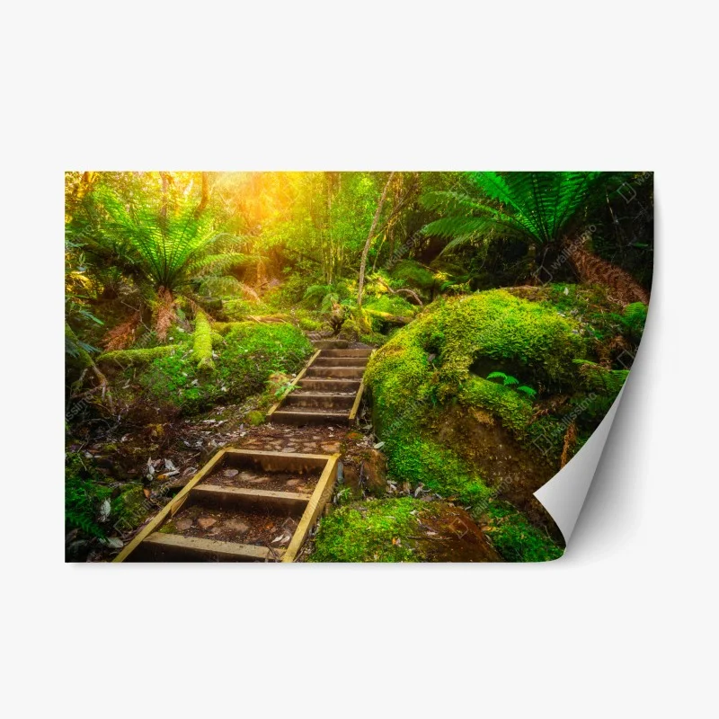 Stickers repositionnables – Wallnifity®