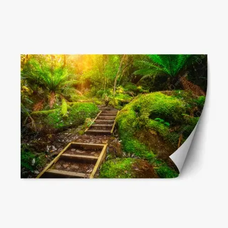 Sticker repositionnable sentier luxuriant dans la forêt jurassique de Tasmanie – Wallnifity®