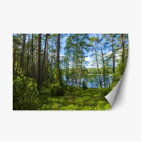 Sticker repositionnable paysage forestier au bord du lac – Wallnifity®