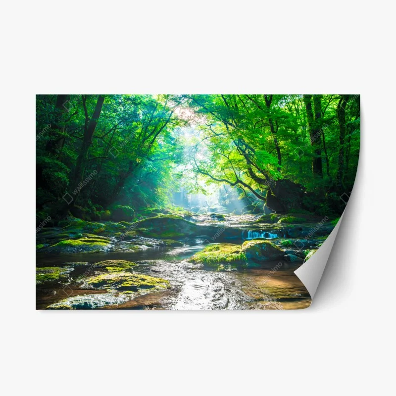 Nature – Wallnifity®
