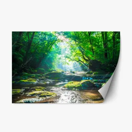 Sticker repositionnable clairière lumineuse au bord de la rivière – Wallnifity®