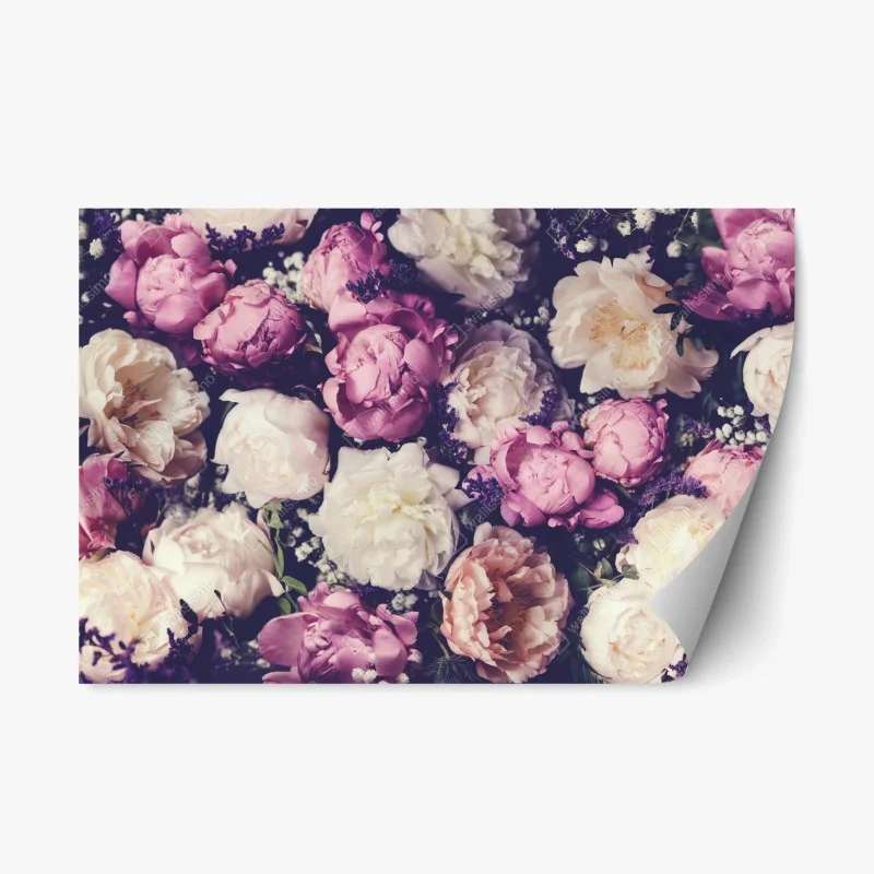 Fleurs et plantes – Wallnifity®