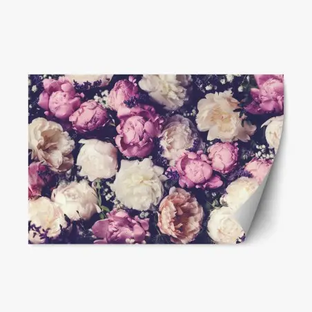Sticker repositionnable composition de pivoines pastel et romantiques – Wallnifity®