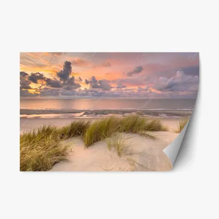 Sticker repositionnable coucher de soleil sur les dunes de Zélande – Wallnifity®