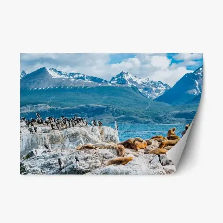 Sticker repositionnable colonie d'otaries et d'oiseaux marins au pied des montagnes – Wallnifity®