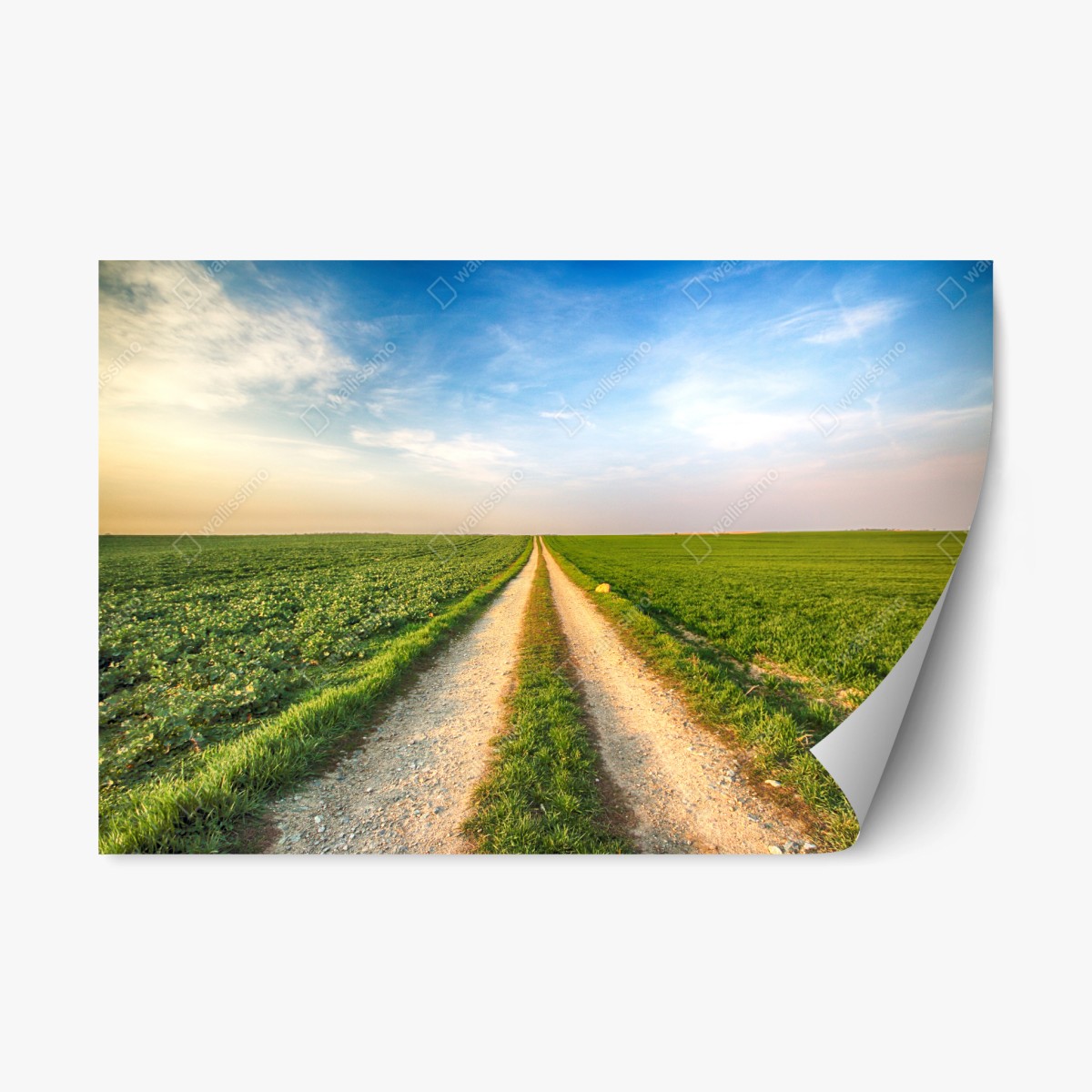 Sticker repositionnable chemin rural vers l'horizon – Wallnifity®
