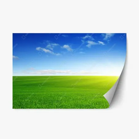 Sticker repositionnable horizon ensoleillé sur prairie verdoyante – Wallnifity®