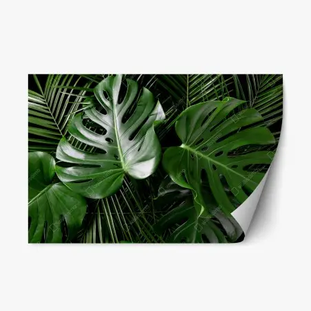 Sticker repositionnable motif feuilles tropicales luxuriantes – Wallnifity®
