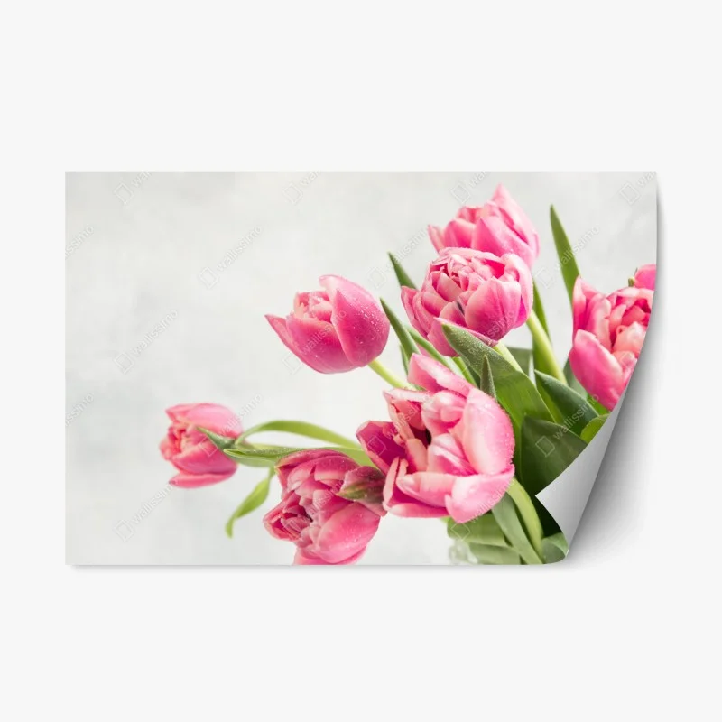 Fleurs et plantes – Wallnifity®