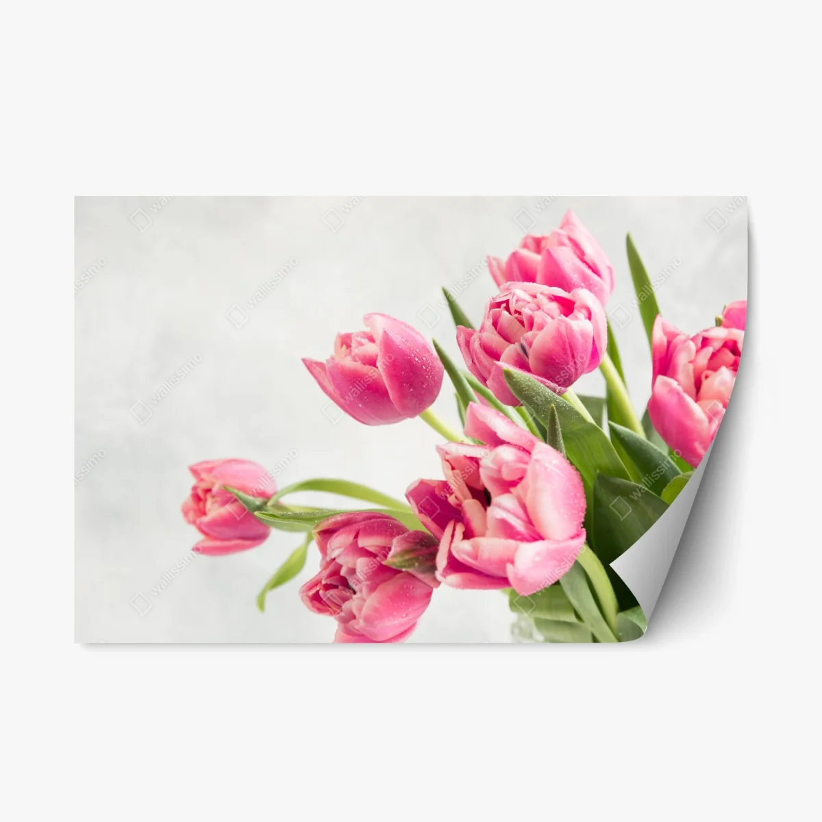 Sticker repositionnable bouquet de tulipes roses sur fond clair – Wallnifity® Sticker repositionnable bouquet de tulipes roses sur fond clair – Wallnifity®