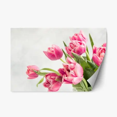 Sticker repositionnable bouquet de tulipes roses sur fond clair – Wallnifity®