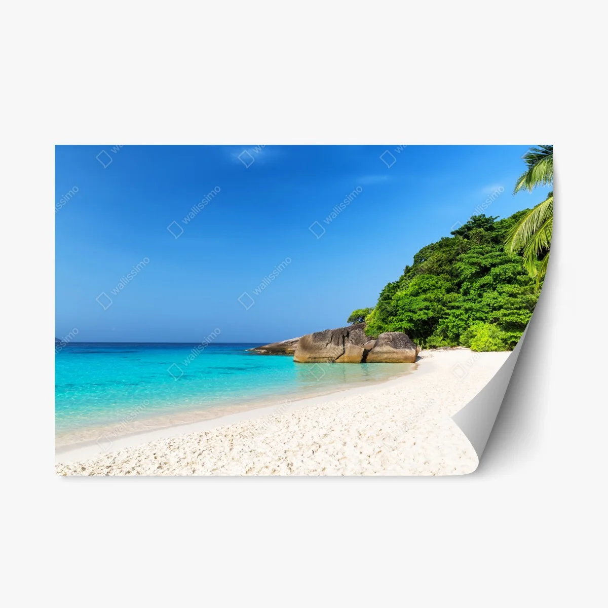 Sticker repositionnable paradis tropical des îles Similan – Wallnifity® Sticker repositionnable paradis tropical des îles Similan – Wallnifity®