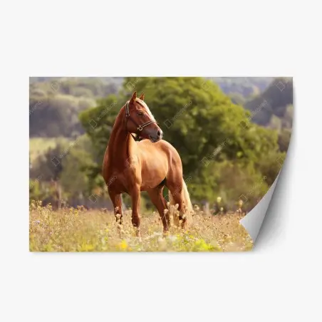 Sticker repositionnable cheval alezan majestueux dans un pré – Wallnifity®